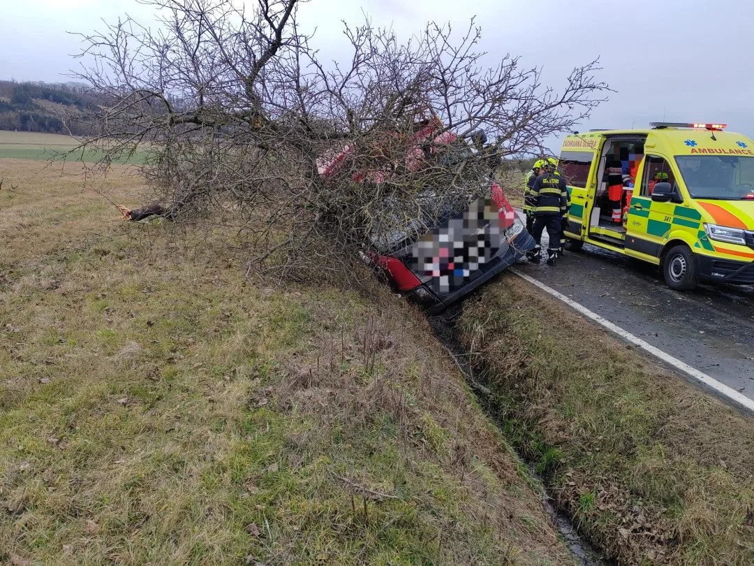Několik kusů skotu zahynulo při nehodě nákladního automobilu. Jeho řidič za jízdy zkolaboval