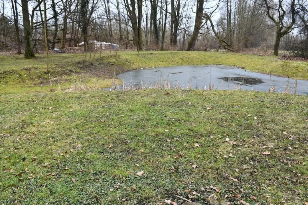 Nejstarší uměle založený park v Plzni čeká třetí etapa revitalizace. Vznikl už v roce 1833
