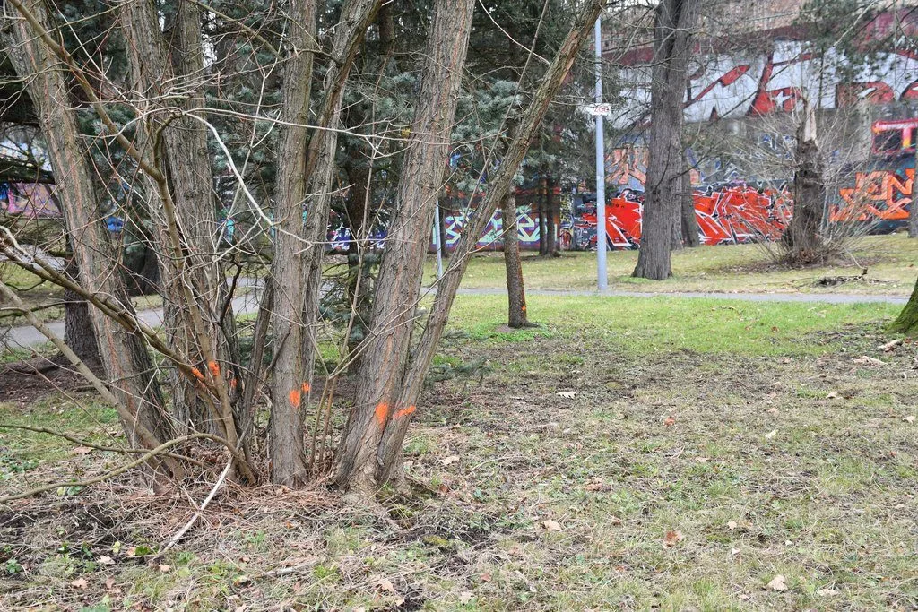 Nejstarší uměle založený park v Plzni čeká třetí etapa revitalizace. Vznikl už v roce 1833