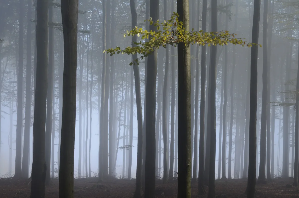 Foto: Václav Hruška