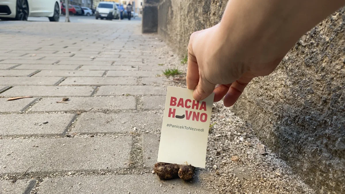 Proti psím exkrementům na chodnících bojuje originálním způsobem mladá žena. Zabodne do nich úderný vzkaz
