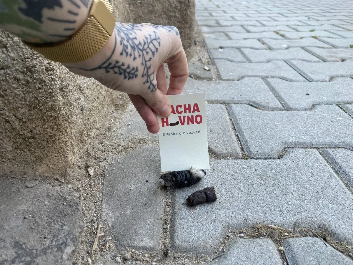Proti psím exkrementům na chodnících bojuje originálním způsobem mladá žena. Zabodne do nich úderný vzkaz