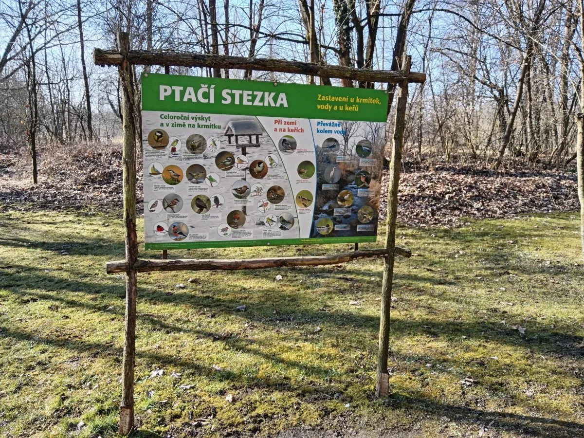 Sýkorky i brhlíci si oblíbili ptačí budky na Božkovském ostrově, radnice tam plánuje i kvetoucí loučky