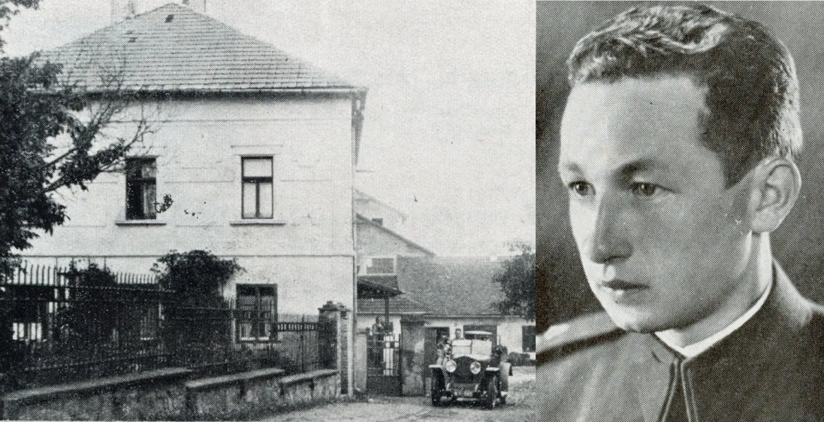 Výstava
