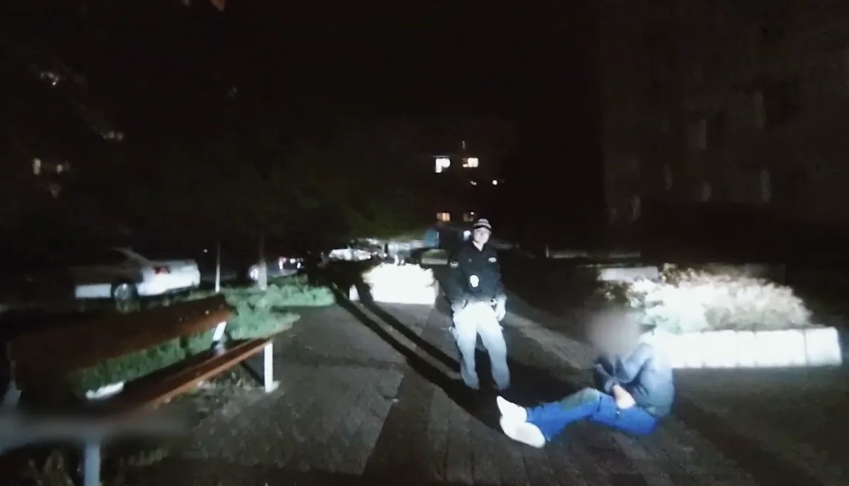 VIDEO: Jsem Adolf Hitler, tvrdil silně opilý muž, který se válel na chodníku