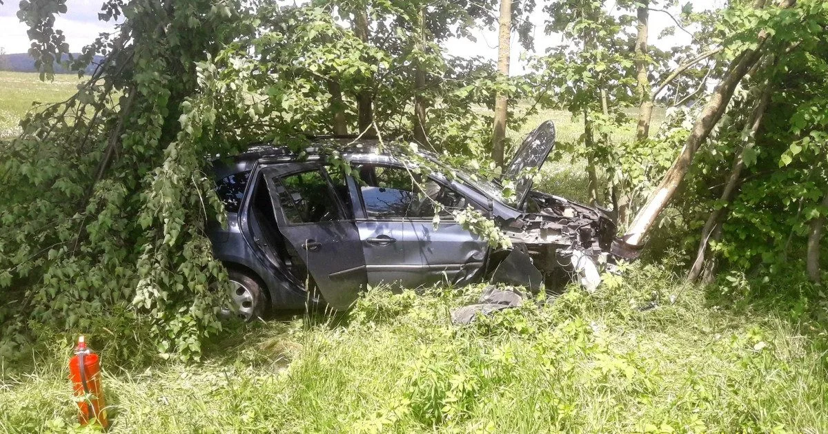 Auto vyletělo ze silnice a skončilo v houští mezi stromy. Na vině byl mikrospánek řidiče