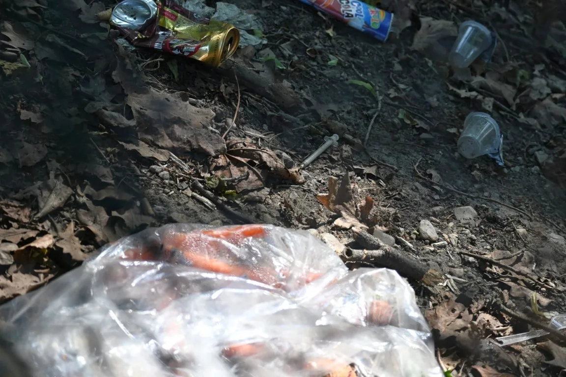 Zapařený pytel mrkve a stříkačky, Papírenský park znovu zaplňují odpadky