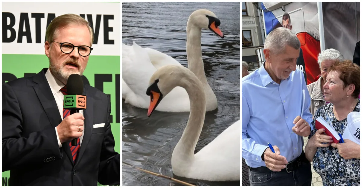 ČERVEN 2025: Emoce na politických debatách i záhada zmizelých labutí