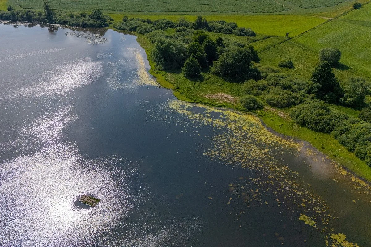 Unikátní plovoucí ostrov pomůže desítkám vzácných druhů ptáků, třeba potápkám nebo motákům