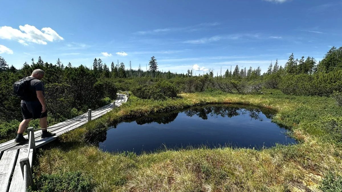 Objevte malý šumavský Yellowstone. Úžasný výlet k jezírkům v Bavorském lese si užijete bez davů