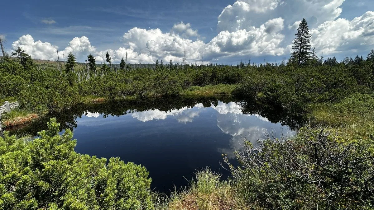 Objevte malý šumavský Yellowstone. Úžasný výlet k jezírkům v Bavorském lese si užijete bez davů