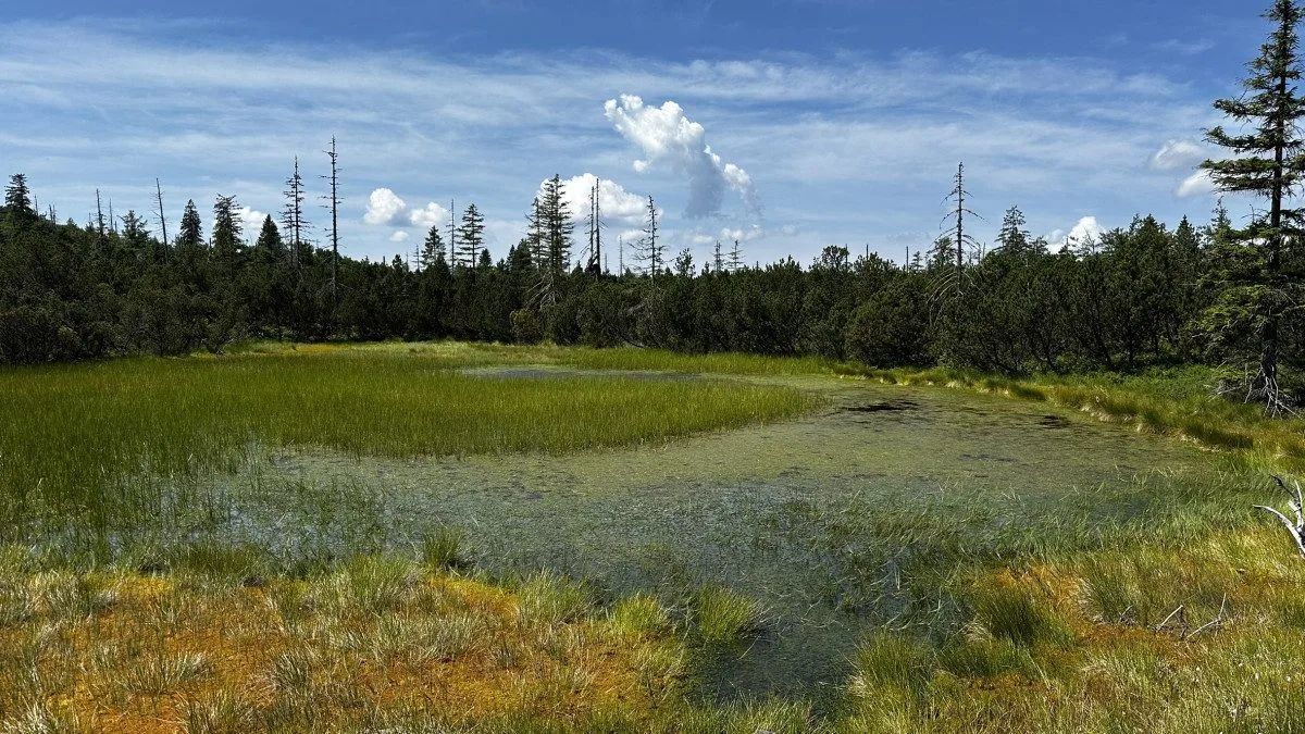 Objevte malý šumavský Yellowstone. Úžasný výlet k jezírkům v Bavorském lese si užijete bez davů