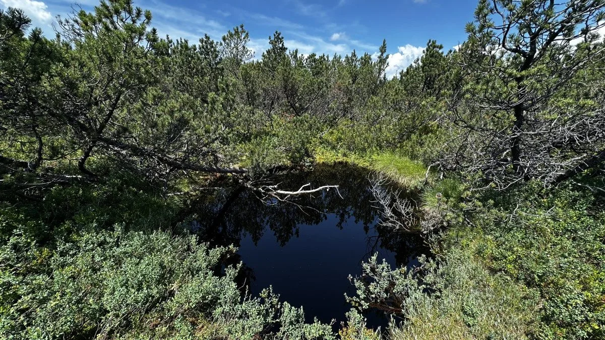 Objevte malý šumavský Yellowstone. Úžasný výlet k jezírkům v Bavorském lese si užijete bez davů