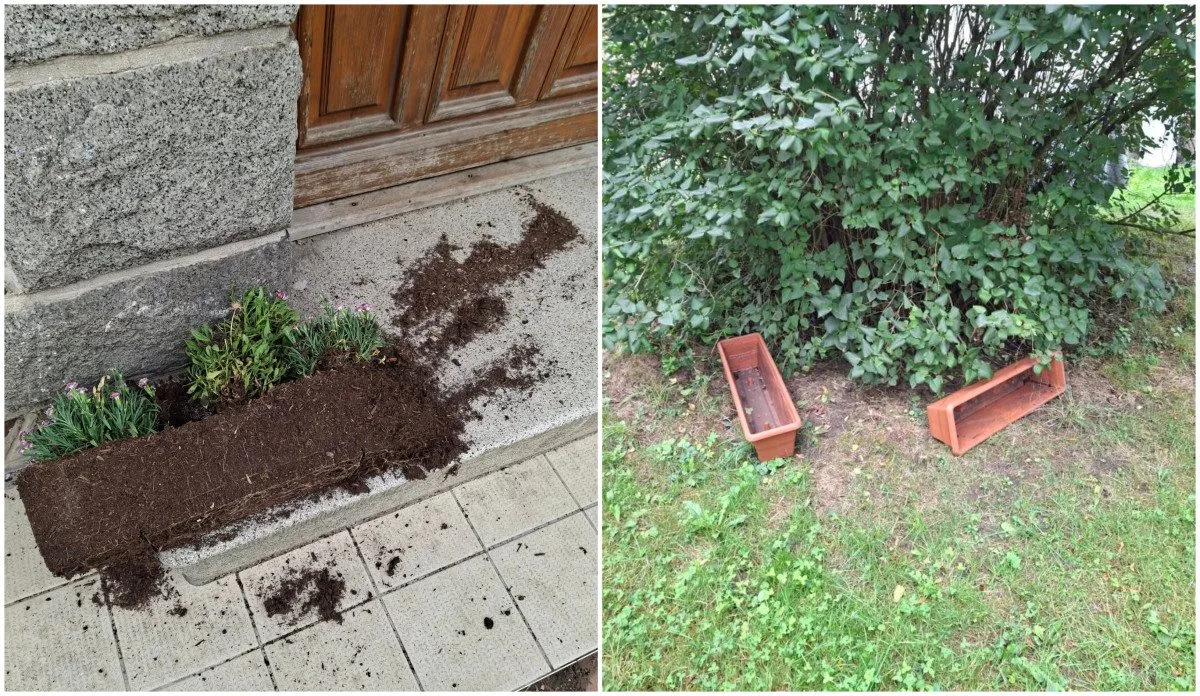 Záhada mizejících květináčů. Vandalové rozhazují rostliny po okolí nebo nosí lidem cizí truhlíky