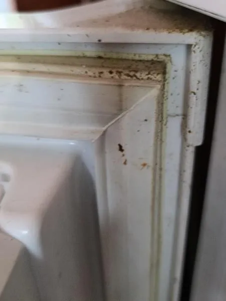 Naprosto nepřijatelná hygiena, inspekce uzavřela asijské bistro před bývalým Priorem