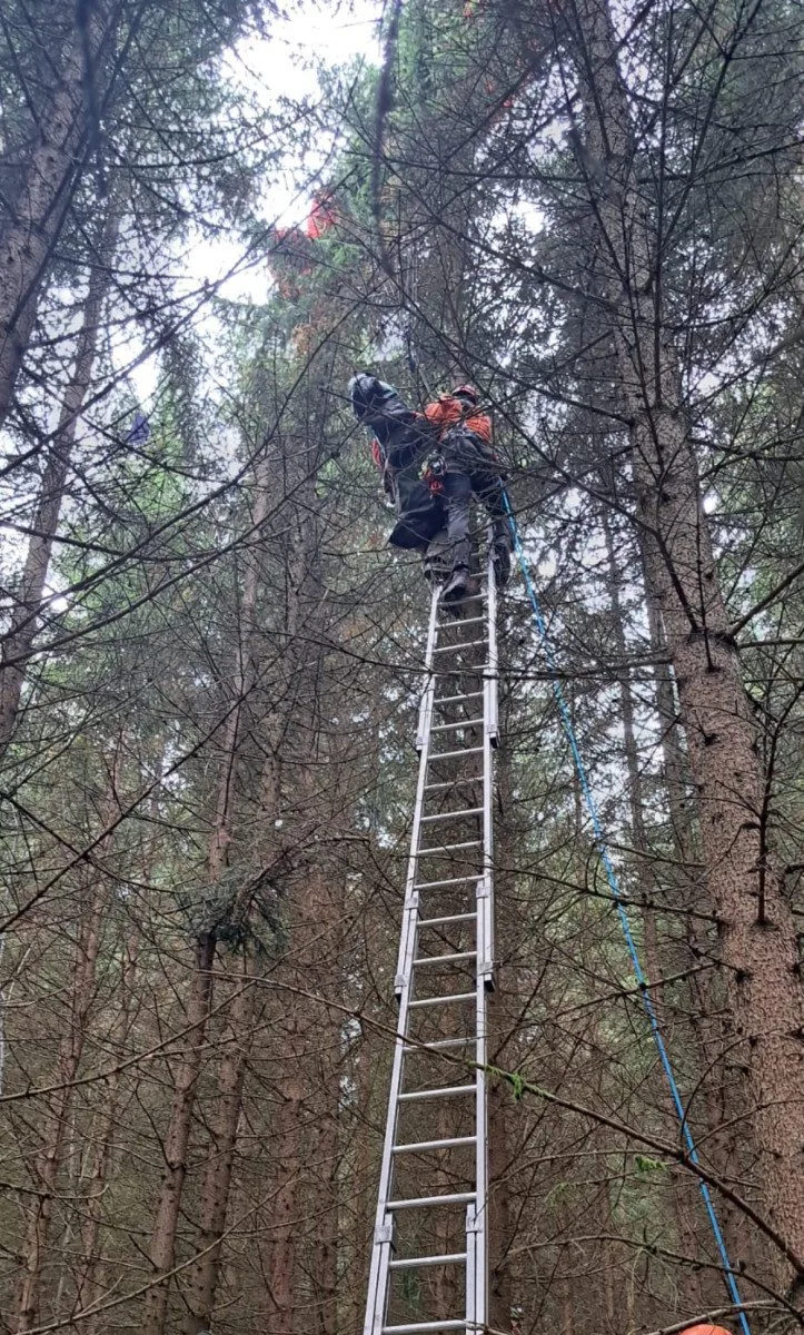 Poslední nehoda paraglidisty u Svatoboru, foto: Hasiči Sušice