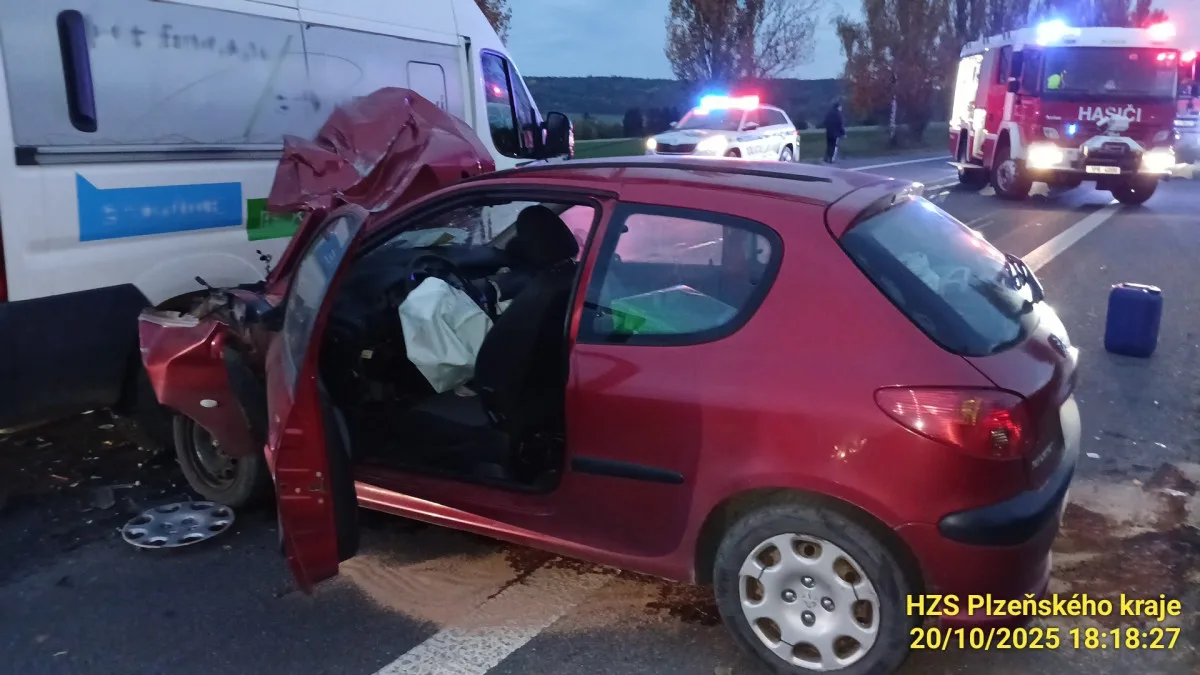 Žena, která úmyslně havarovala s autem a zabila svou dceru, skončila na psychiatrii