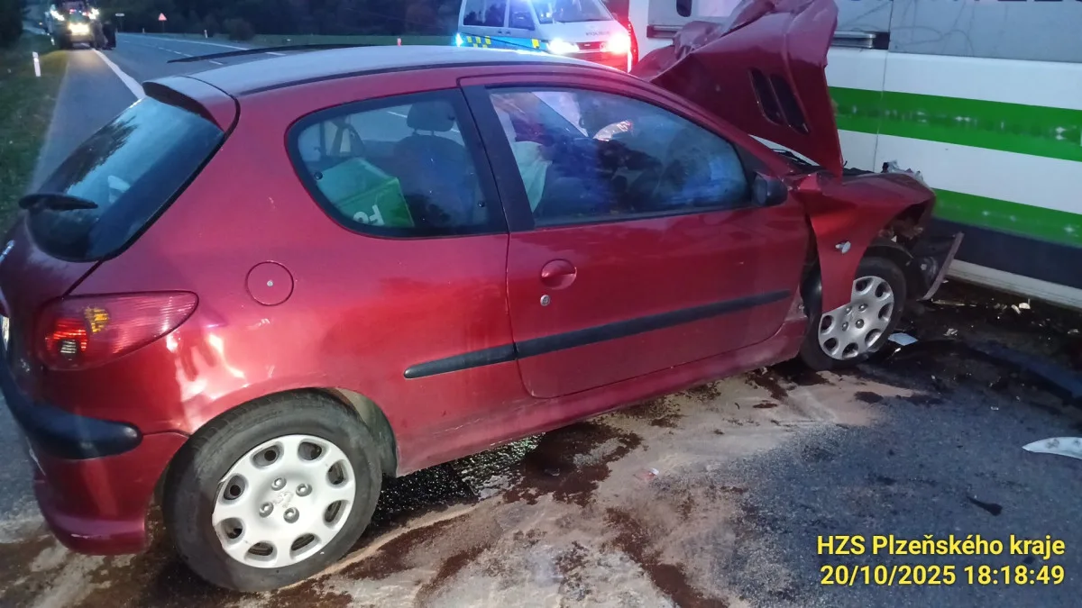 Žena, která úmyslně havarovala s autem a zabila svou dceru, skončila na psychiatrii