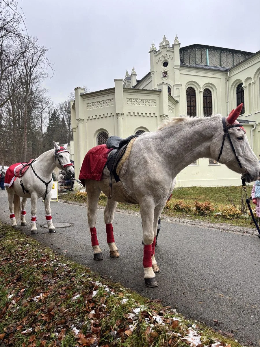 Jízdárna nabídne adventní prohlídky i vánoční trh