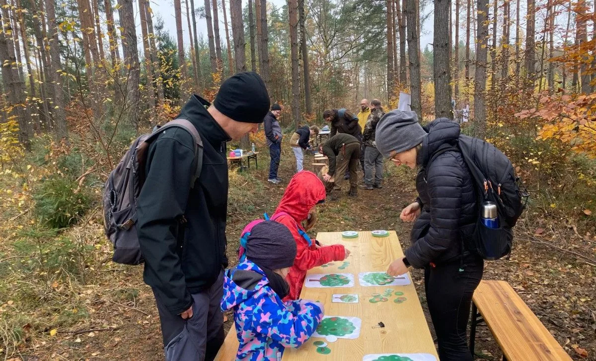 Dobrovolníci vysázeli v městském lese 4000 borovic