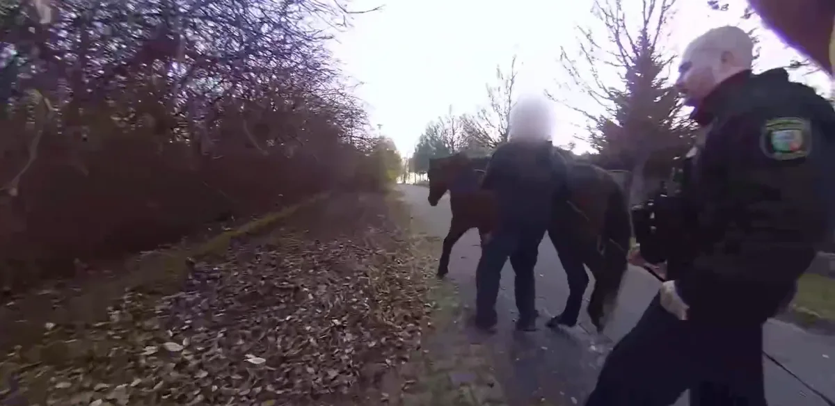 VIDEO: Po ulici se potuloval kůň, strážníky při odchytu pěkně prohnal