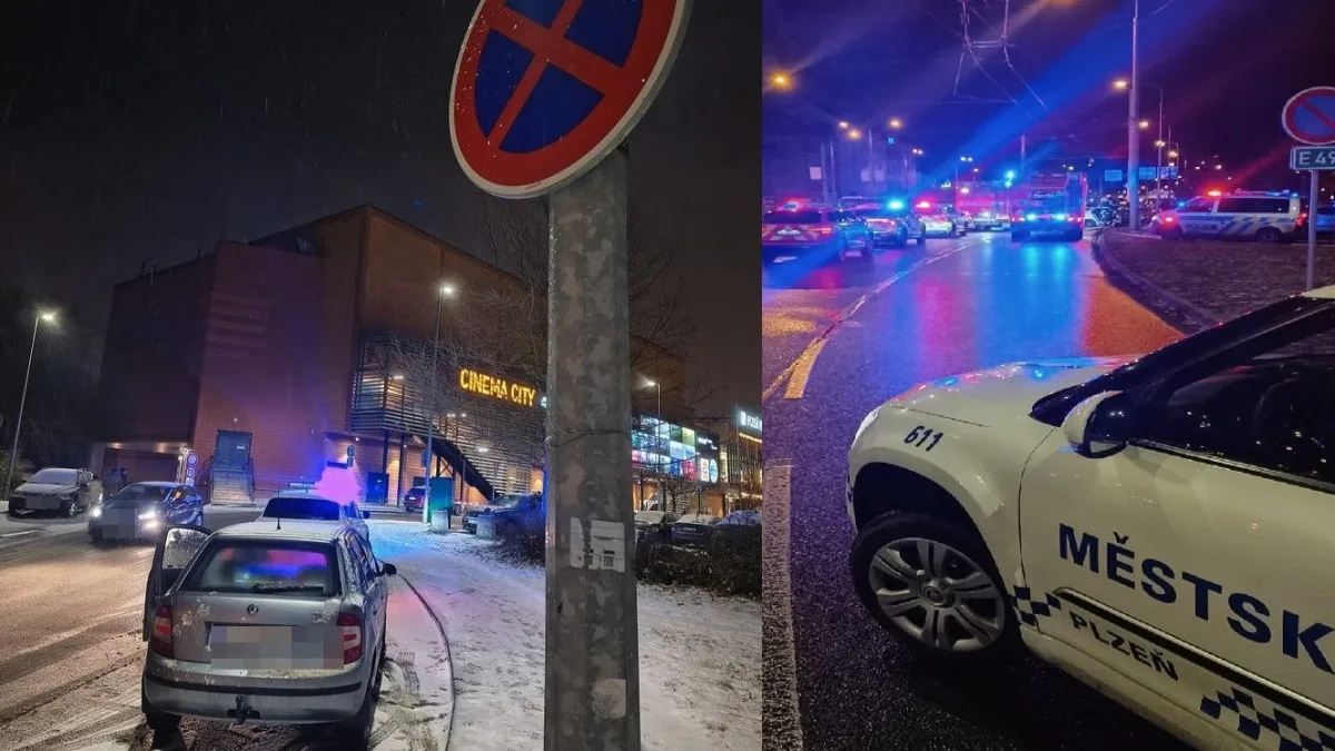 Parkování v zákazu zastavení byl jen začátek. Kontrola odhalila ještě větší průšvih