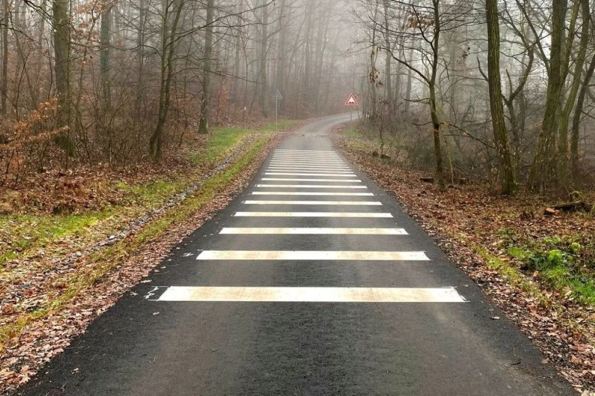 Město se pochlubilo vyasfaltováním lesních cest. Veřejnost to tvrdě odsoudila