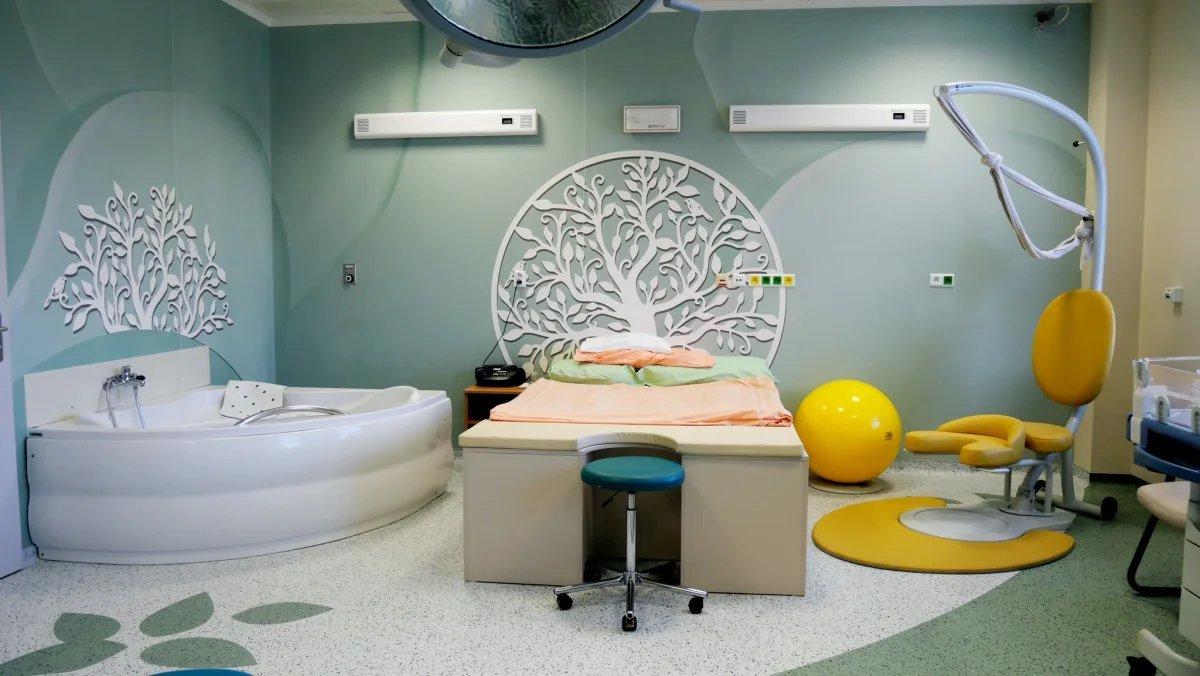 V plzeňské porodnice přišlo loni na svět 2,5 tisíce dětí. Nejmenším byl chlapec s váhou 700 gramů