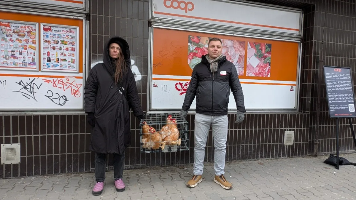 Ochránci zvířat protestovali v Plzni kvůli prodeji vajec z klecového chovu