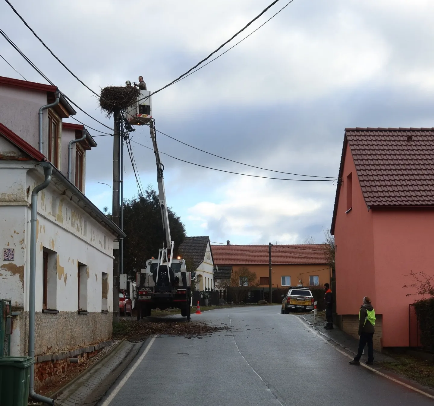 Úprava hnízda v Polžicích