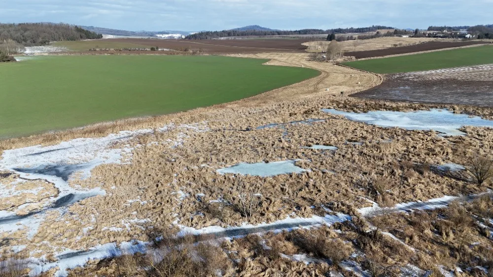 Mokřad vznikl v důsledku činnosti bobra. Území už se díky úpravám nebude rozšiřovat