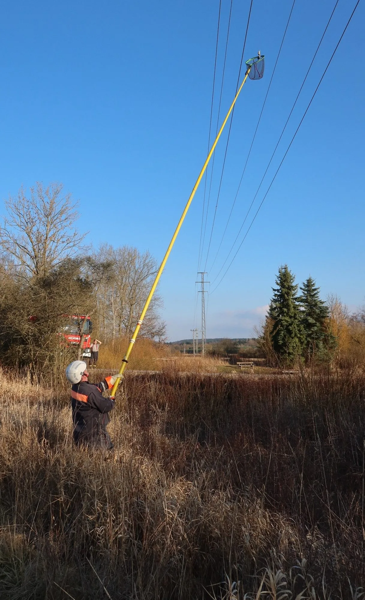 Sýkora visela na vlasci z drátů vysokého napětí. Na pomoc vyjížděli hasiči i energetici
