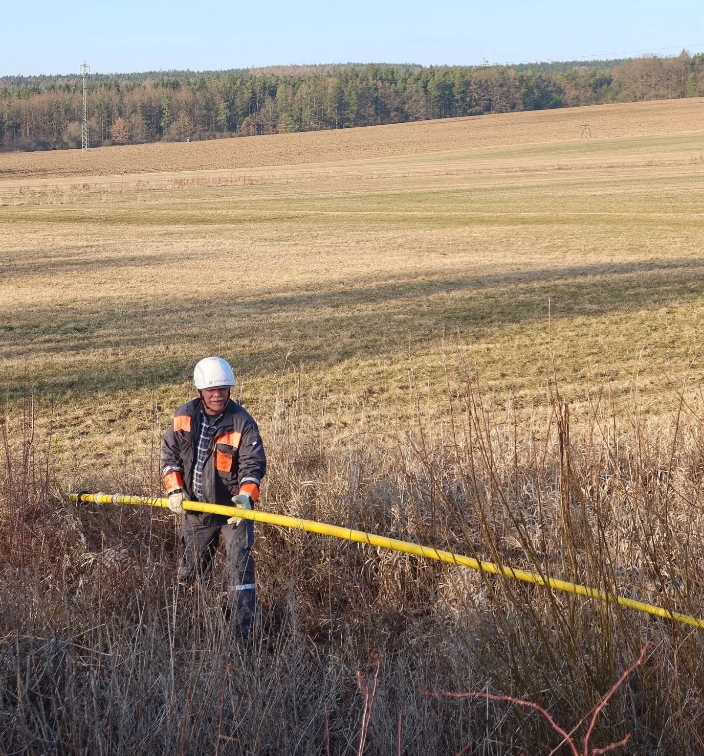 Sýkora visela na vlasci z drátů vysokého napětí. Na pomoc vyjížděli hasiči i energetici