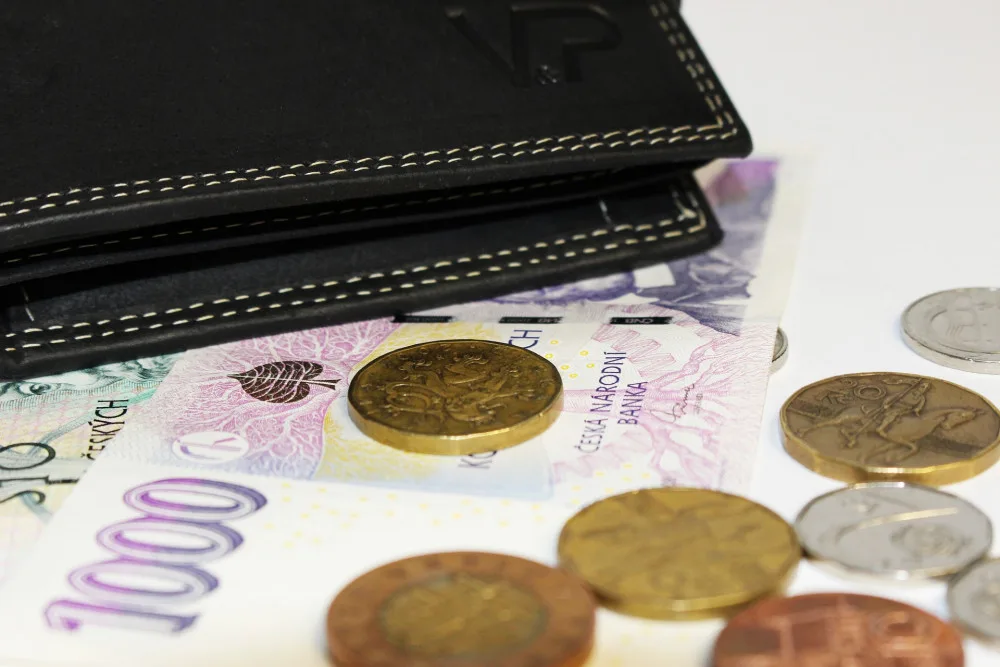 V Plzeňském kraji stoupla loni mzda meziročně o 6,6 procent na 45 980 korun
