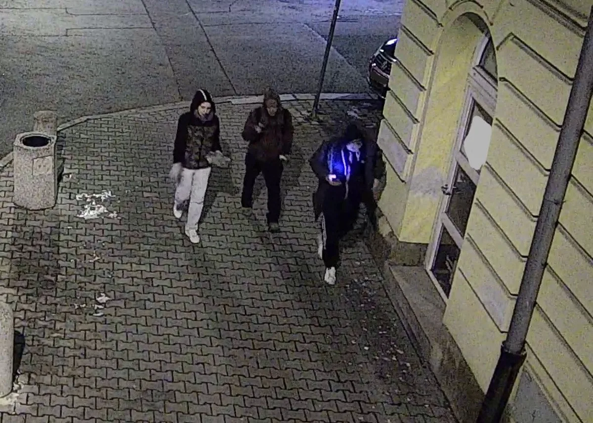 Ukradená dančí hlava jako trofej z nočního tahu, policie hledá partičku z fotky