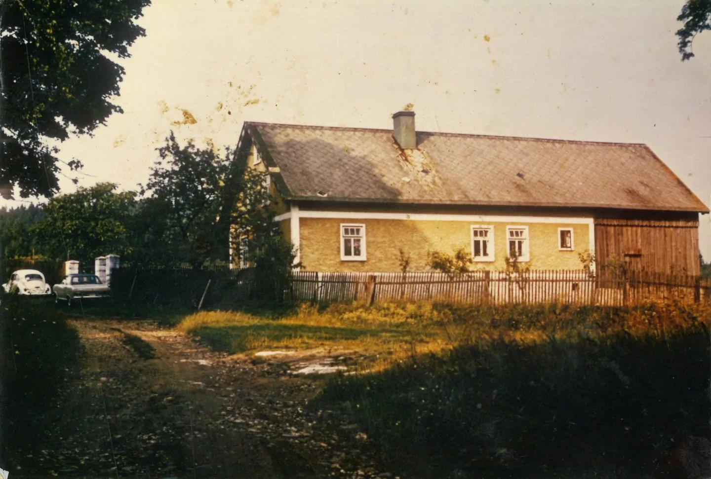 Pastvina-cp-8