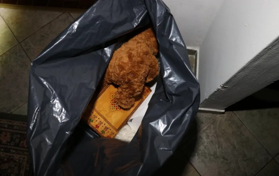 Policisté dopadli muže podezřelé z krádeží. Jeden si odnesl plyšáka i kráječ na pizzu.