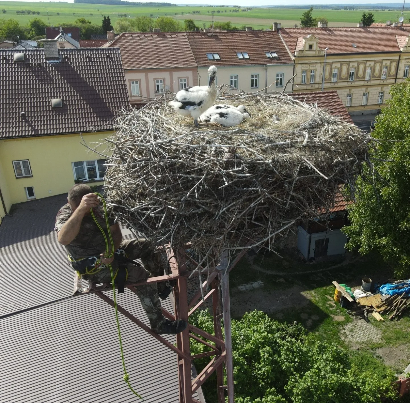 Adopce na hnízdě v Chotěšově