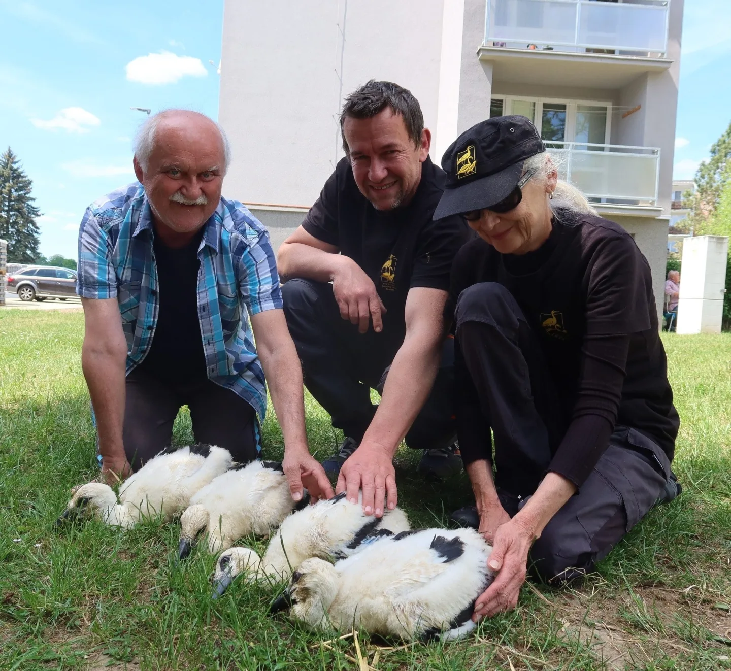 Osiřelá čápata zatím ještě pohromadě