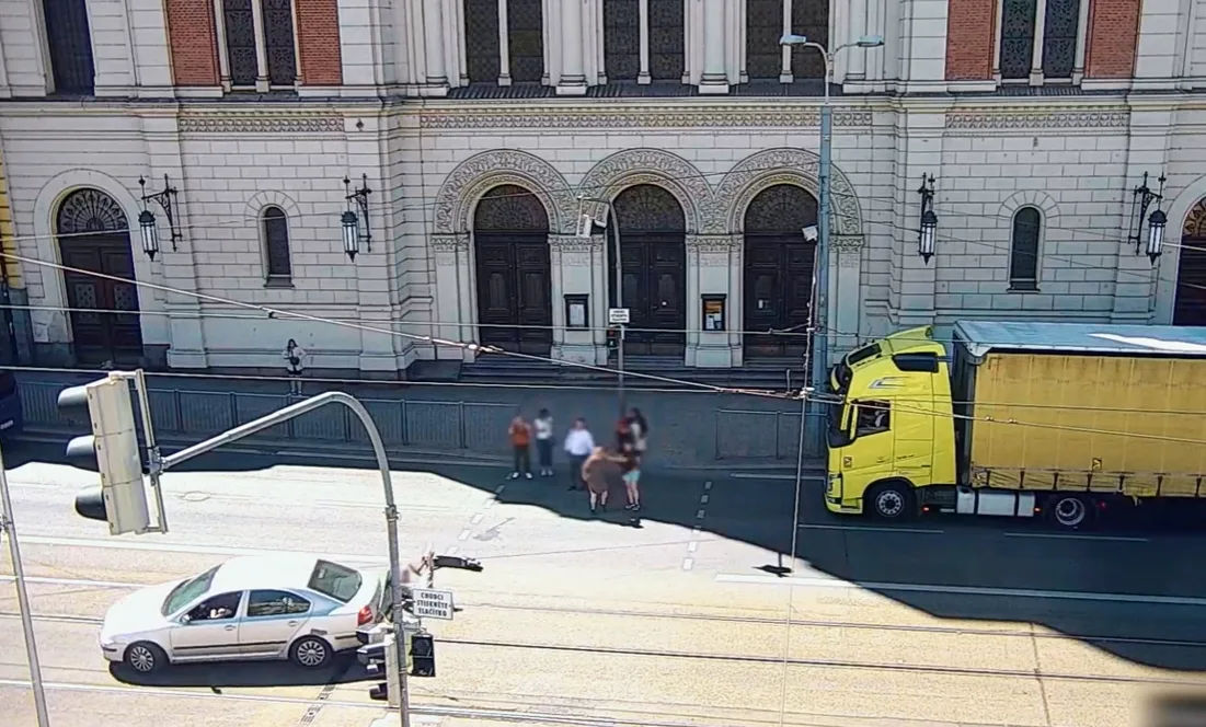 VIDEO: Drsné video zachytilo, jak auto na přechodu smetlo kurýra na elektrokoloběžce