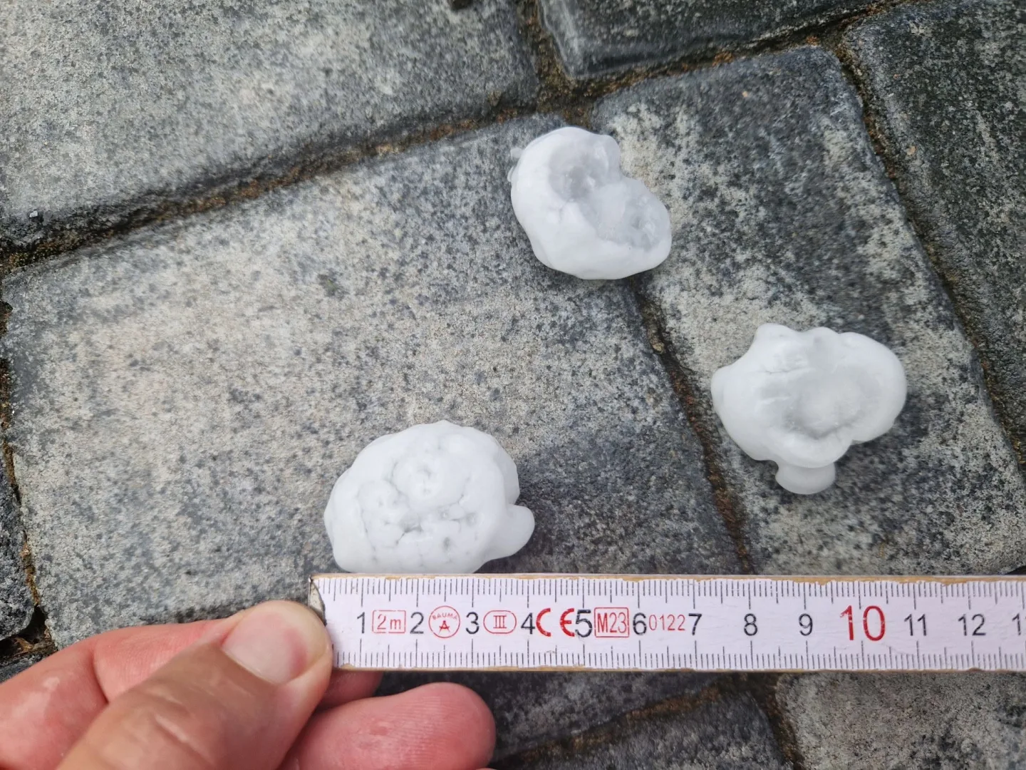 Foto: Radim Král