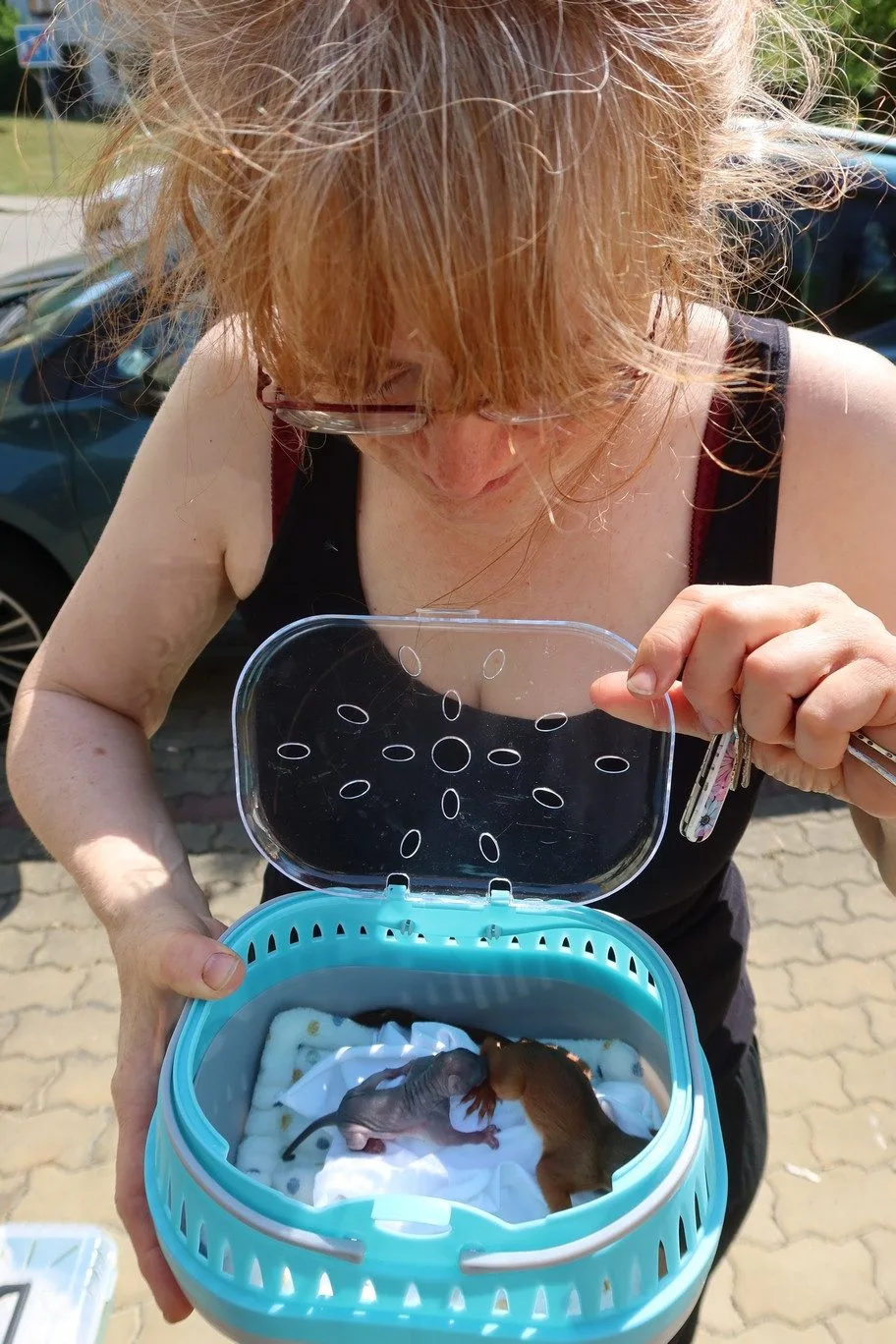 Záchranná stanice přijímala desítky zvířecích pacientů
