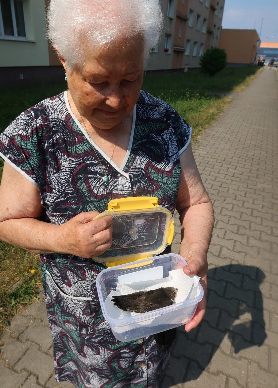 Záchranná stanice přijímala desítky zvířecích pacientů