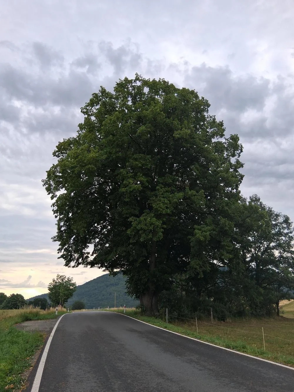 13:56