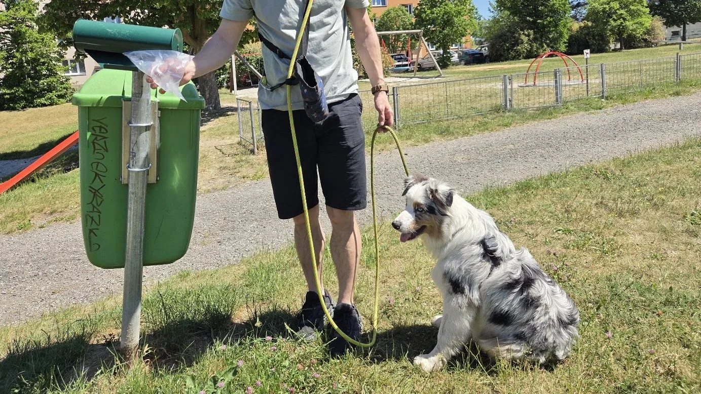 Naučí se lidé po psech uklízet? Obvod instaloval desítky stojanů se sáčky na výkaly