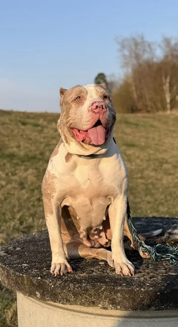 Daisy našla přes inzerát na internetu, teď u ní řeší vážné zdravotní problémy