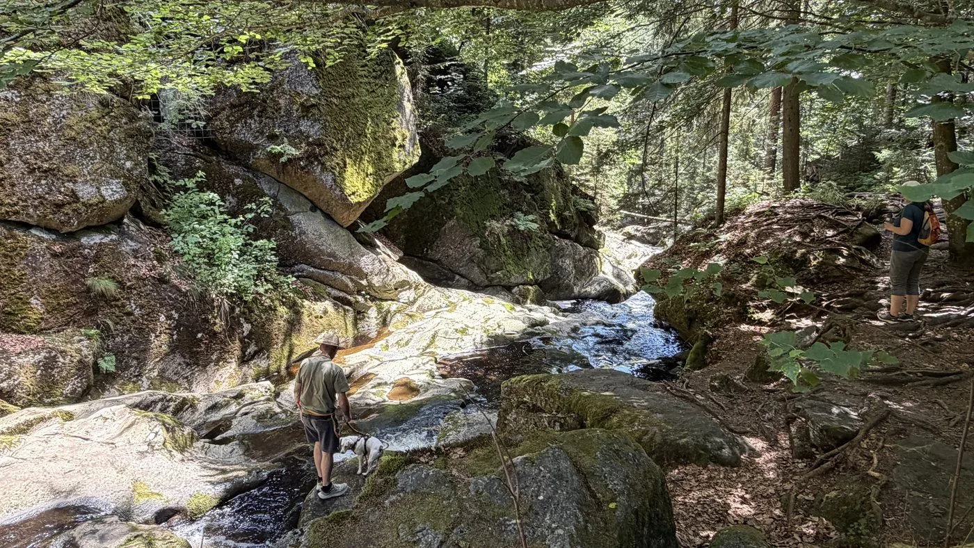 Jen pár kilometrů za hranicemi najdete divokou a romantickou šumavskou soutěsku