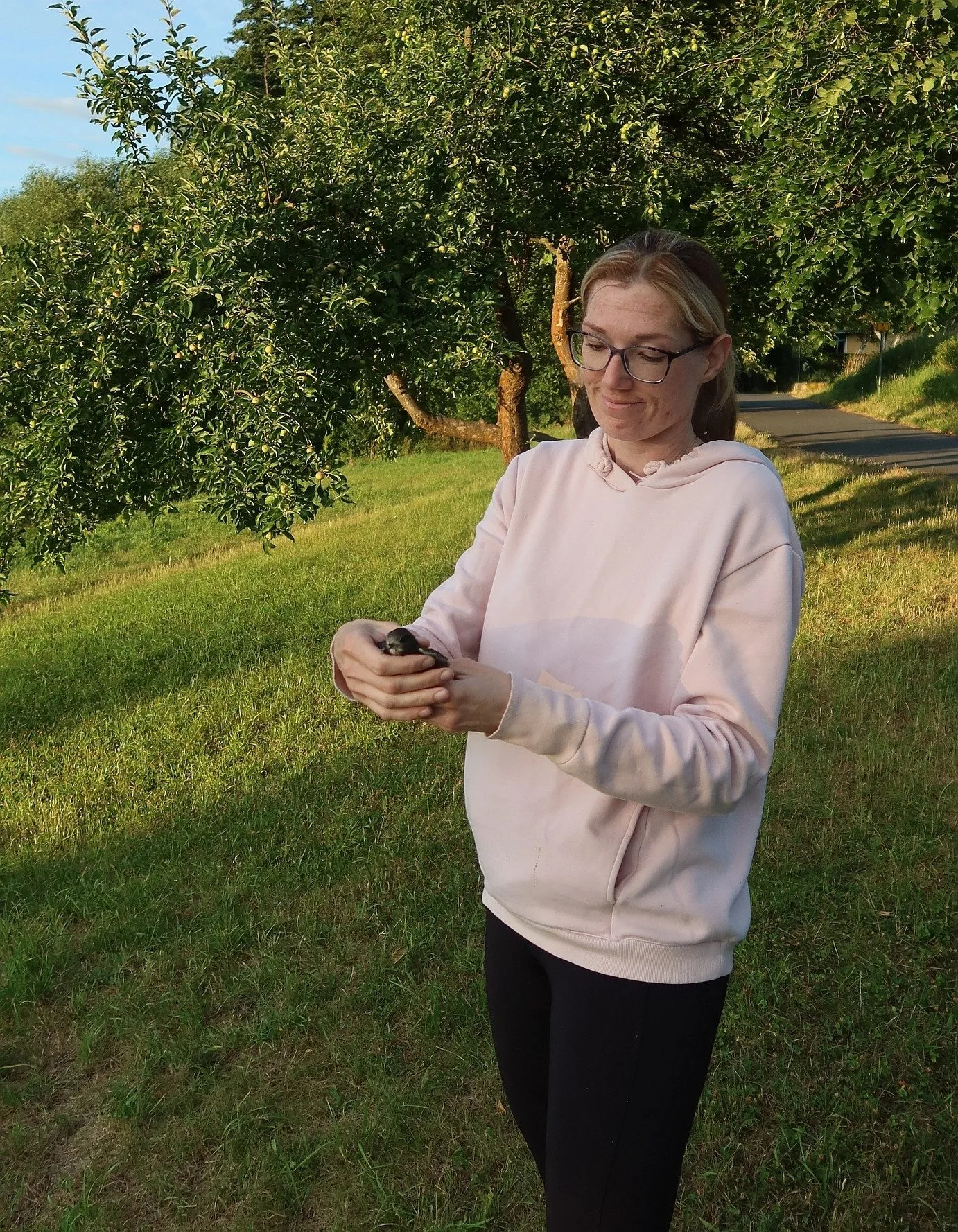 Mirka Sokolová se v plzeňské záchranné stanici živočichů stará o opuštěná nebo zraněná ptačí mláďata