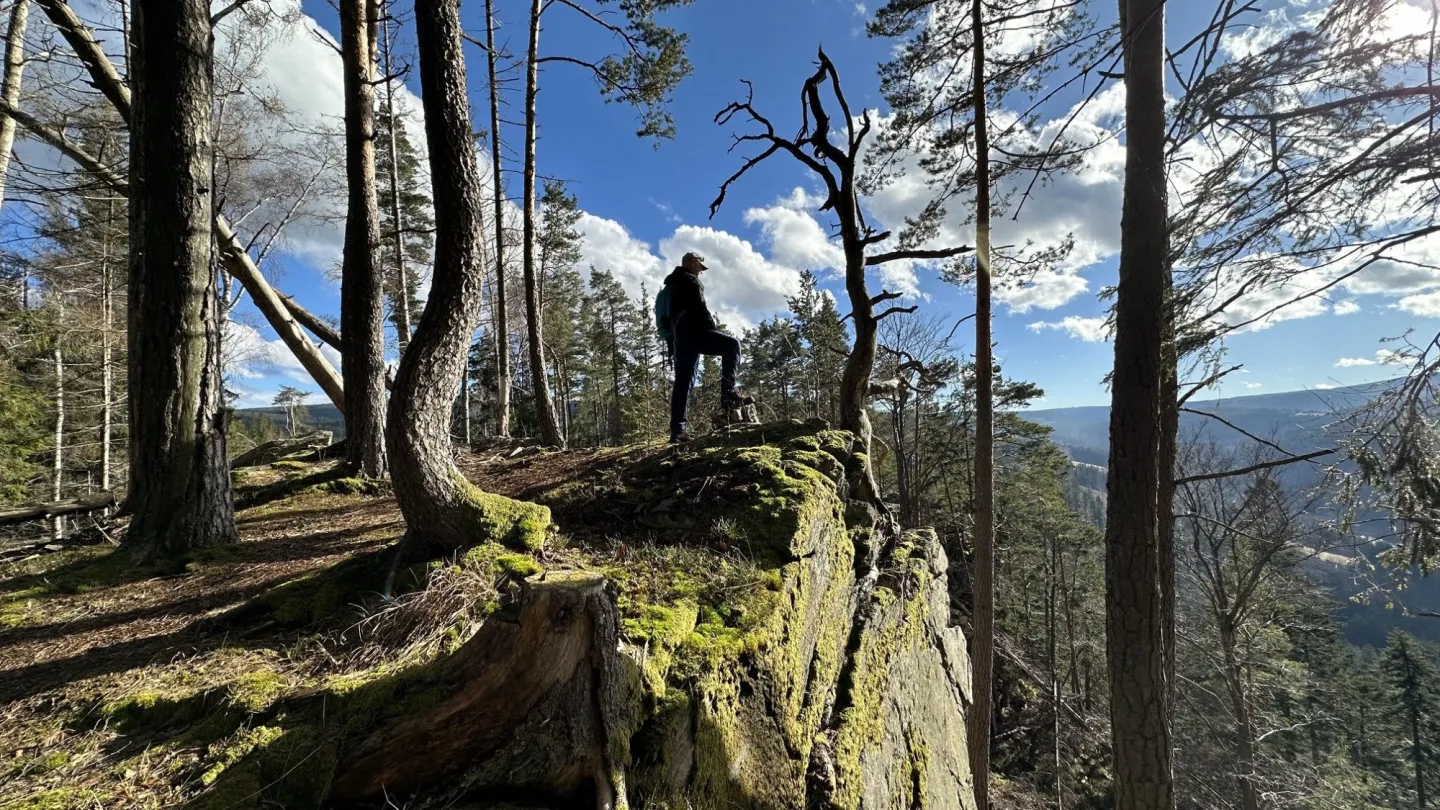 Šumava - ilustrační foto