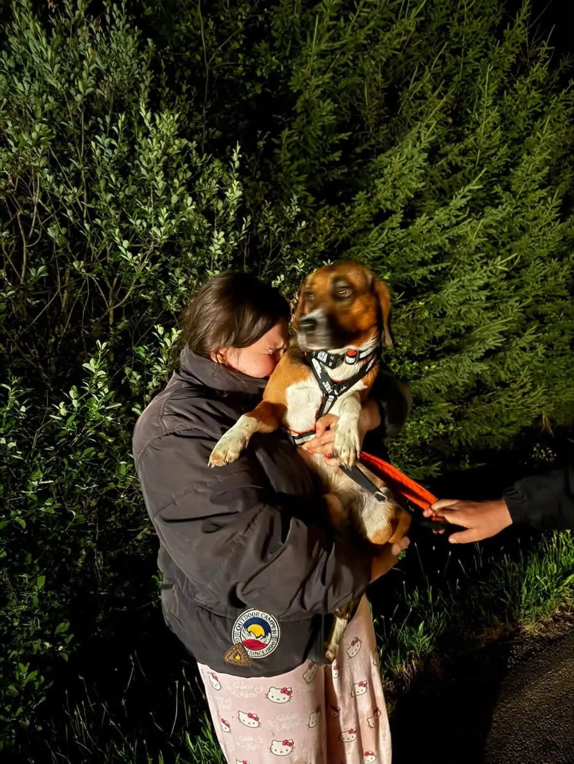 V adopci byl laboratorní bígl pár dní, pak se ztratil. Rozjela se velká pátrací akce